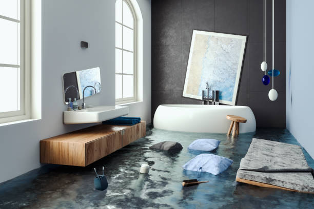 Best 24/7 water damage repair  in Bowleys Quarters, MD