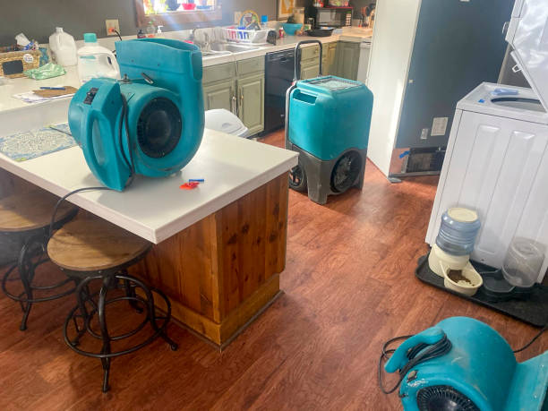 Best Water damage repair service  in Bowleys Quarters, MD