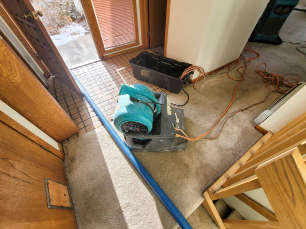 Reliable Bowleys Quarters, MD Water damage restoration Solutions