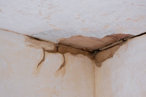 Best Ceiling water damage repair  in Bowleys Quarters, MD