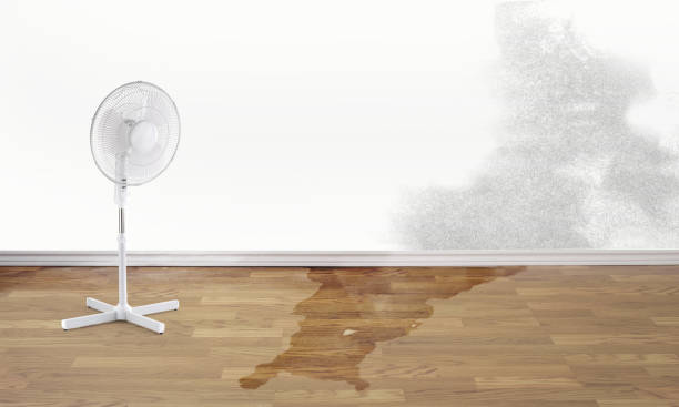 Best Ceiling water damage repair  in Bowleys Quarters, MD