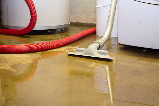 Best Basement water damage restoration  in Bowleys Quarters, MD