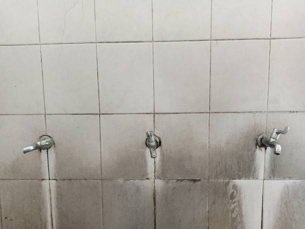 Best Water damage restoration near me  in Bowleys Quarters, MD
