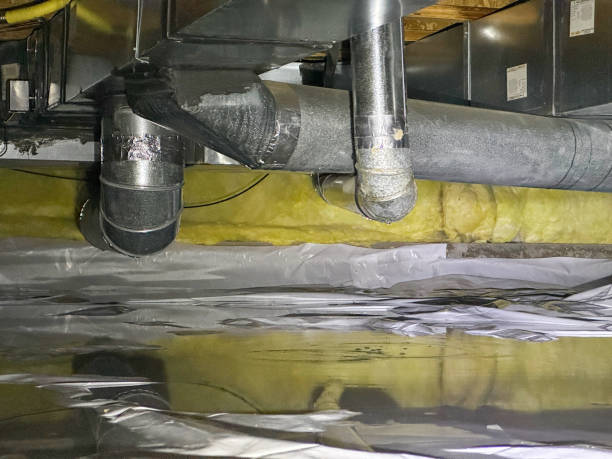 Best Water damage contractors near me  in Bowleys Quarters, MD