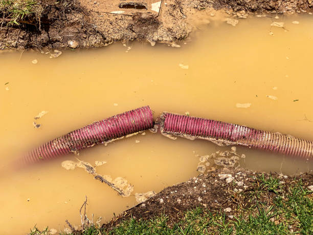 Best Water damage cleanup near me  in Bowleys Quarters, MD